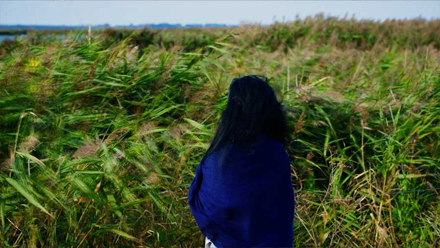 Kunst trifft Klima: Video-Portraits, Identity & Web 1