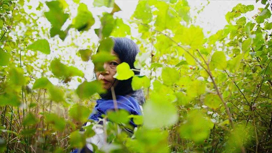 Kunst trifft Klima: Video-Portraits, Identity & Web