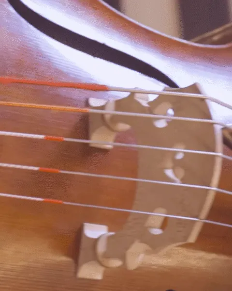 Mahler Chamber Orchestra - Kampagnenvideos