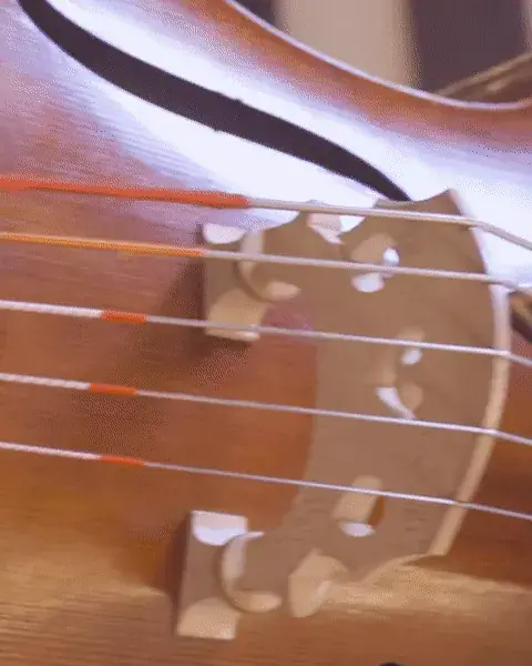 Mahler Chamber Orchestra - Kampagnenvideos