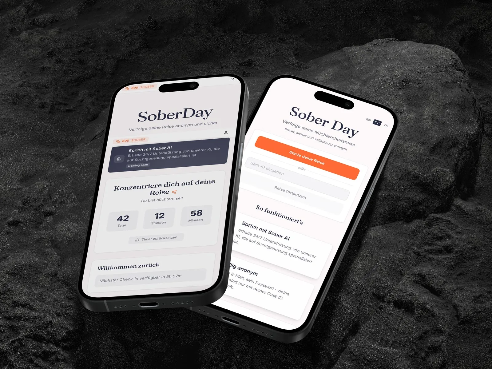 SoberDay